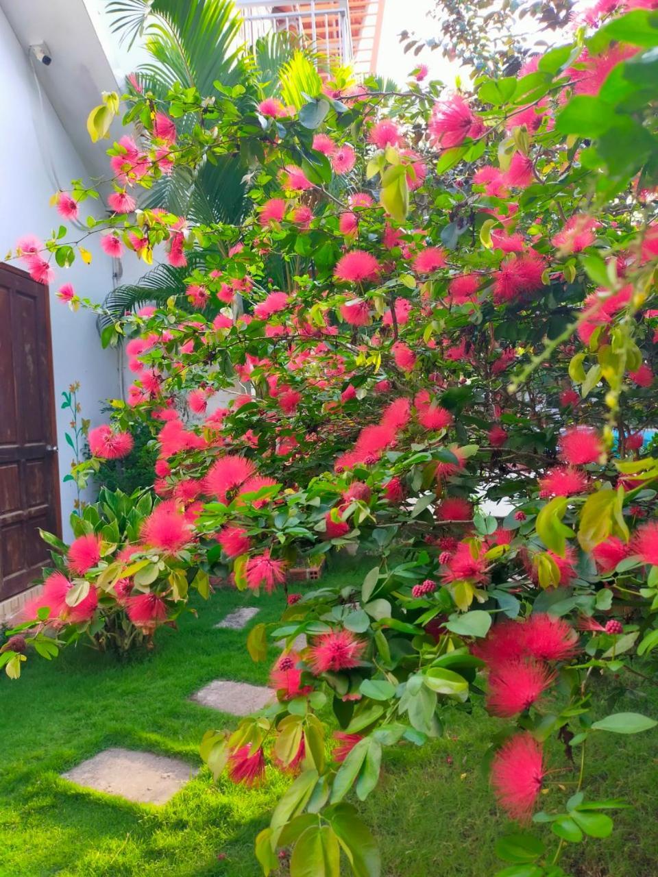 Serenity Garden Phu Quoc Buitenkant foto